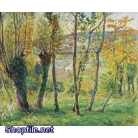 TSD3538 - Tranh sơn dầu cây cối trong rừng